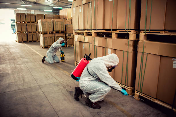 Best Affordable Exterminators  in Rockville, MD