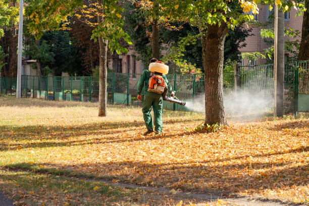 Best Wasp Removal Services  in Rockville, MD